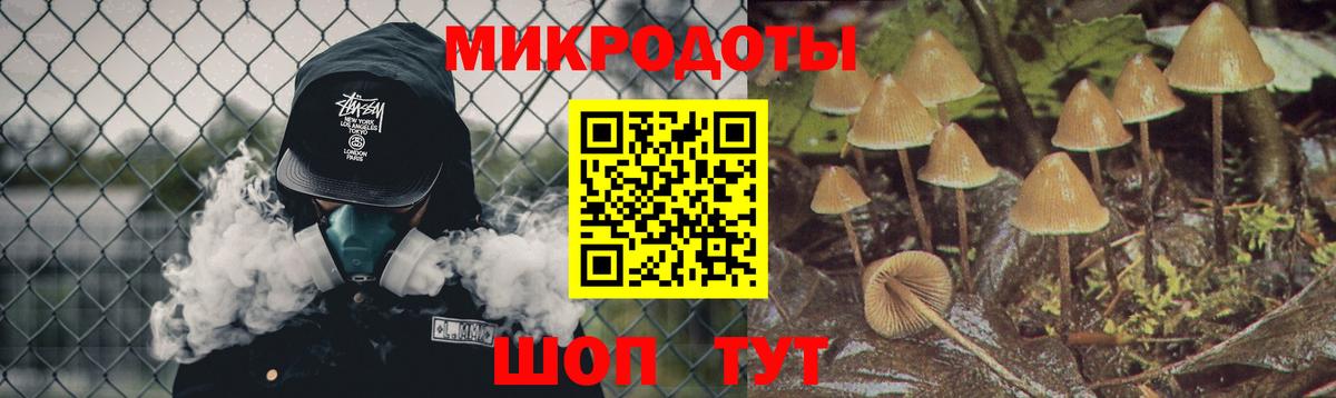 Псилоцибиновые грибы мицелий  Вход с VPN  Галлюциногенные грибы Cubensis  купить наркотики сайты  Советский 