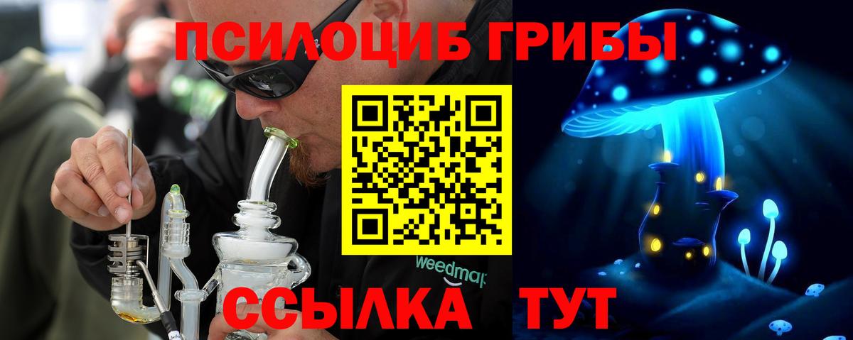Псилоцибиновые грибы Psilocybe Советский